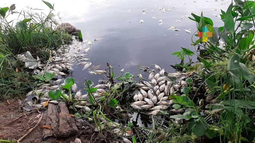 Pausa UV estudio en laguna de Villa Allende