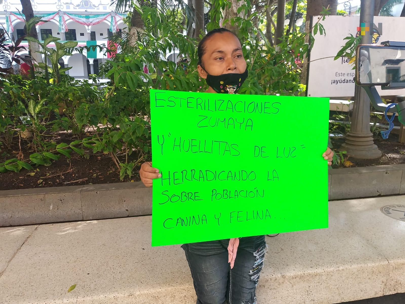 Realizarán campaña de esterilización animal a bajo costo en la Colonia Carranza