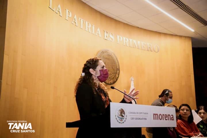 La veracruzana Tania Cruz Santos presidirá la Comisión de Educación del Congreso