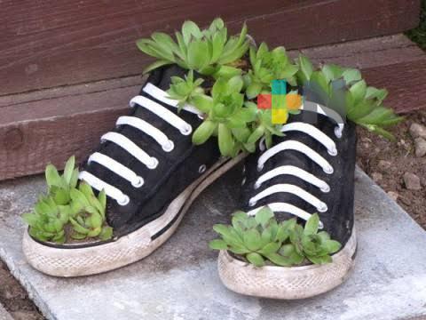 Habrá taller «Zapaceta» en Coatzacoalcos