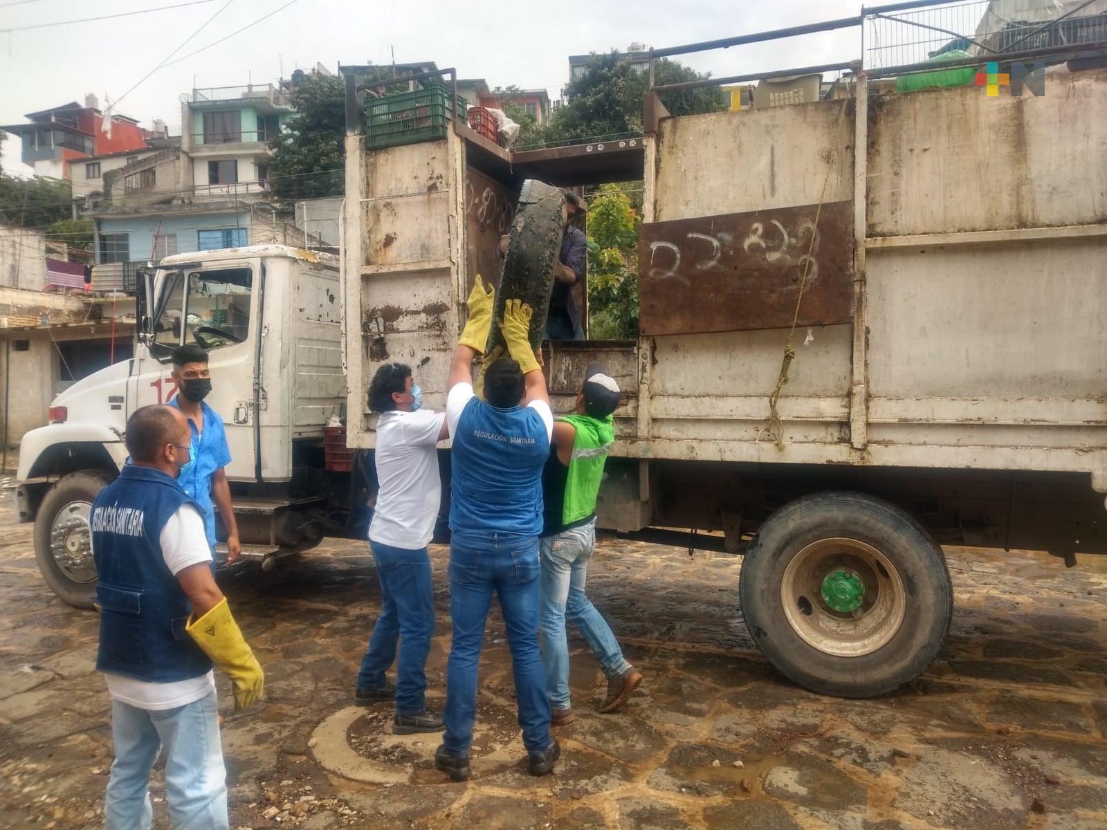 Recolectan más de una tonelada de cacharros en cuatro colonias de Xalapa