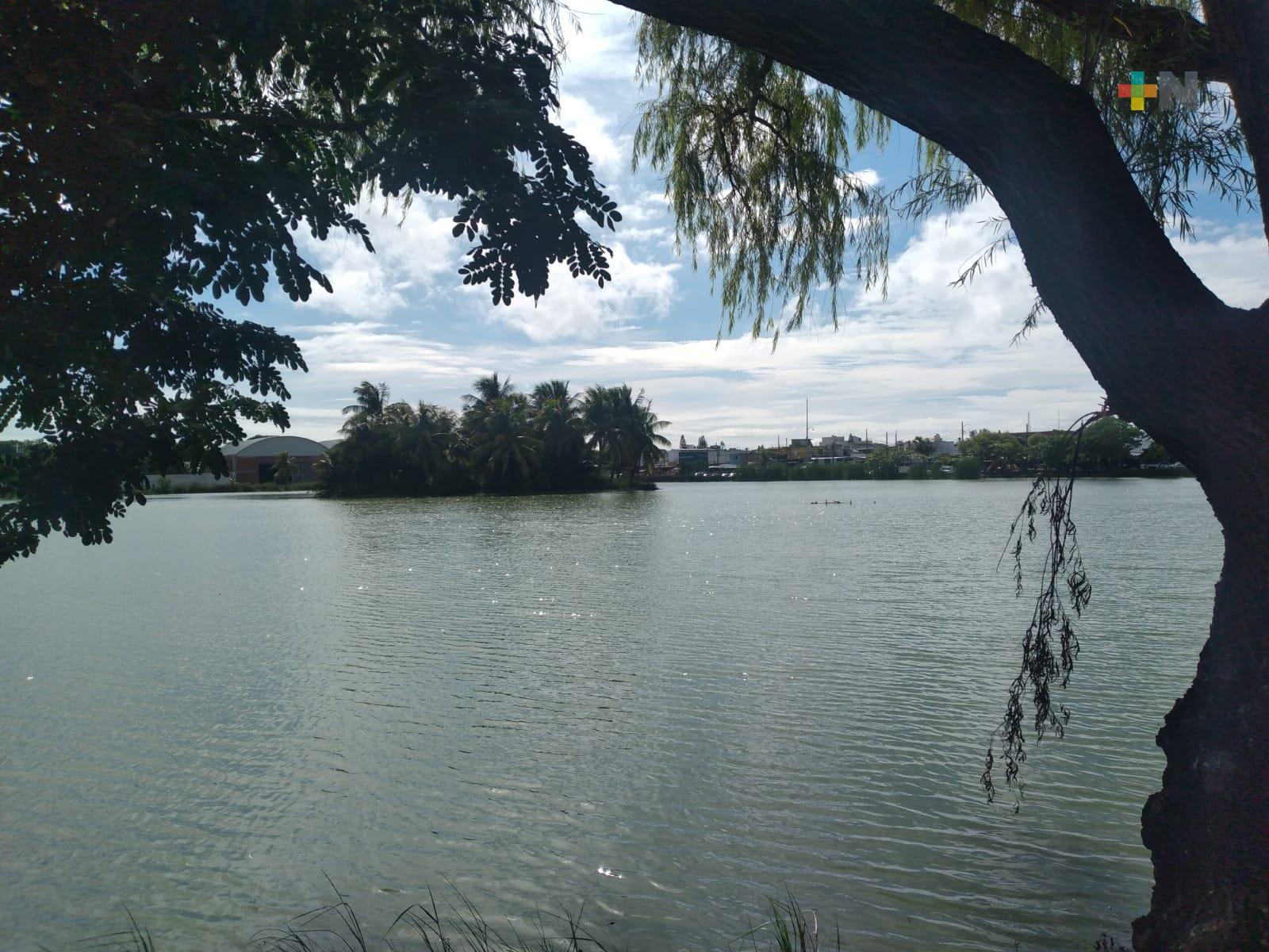 Respetar a cocodrilo de laguna de Malibrán, piden ambientalistas