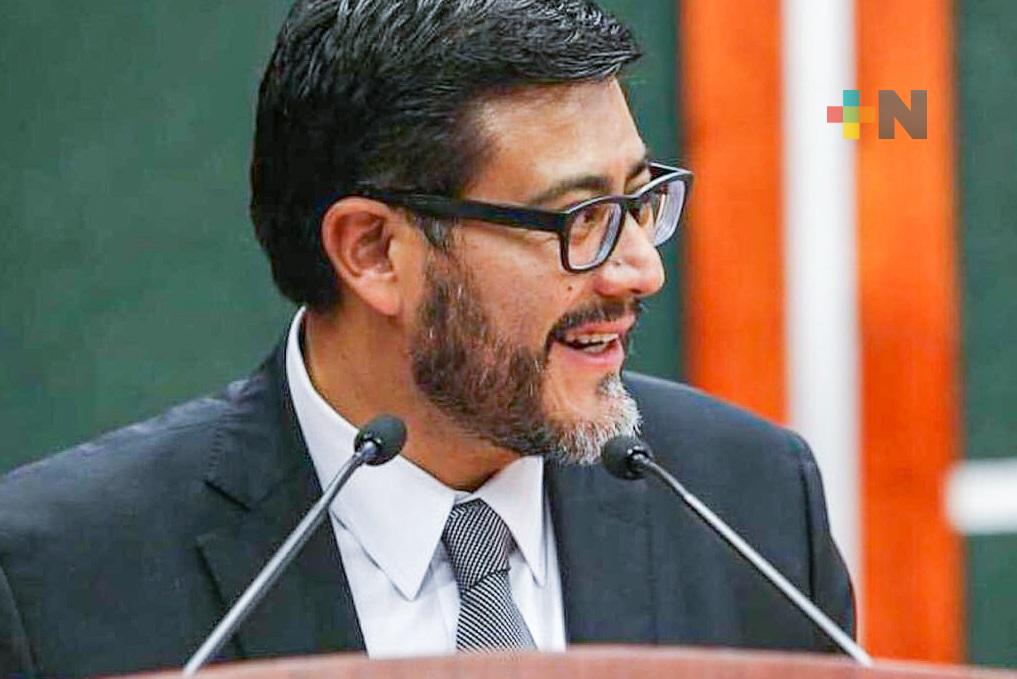 Reyes Rodríguez Mondragón es elegido presidente del TEPJF