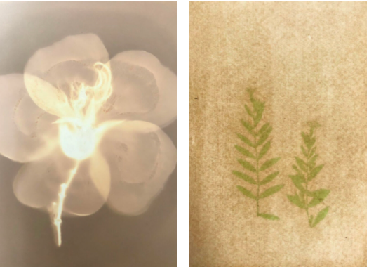 Comparte JEX técnicas ecológicas de impresión fotográfica