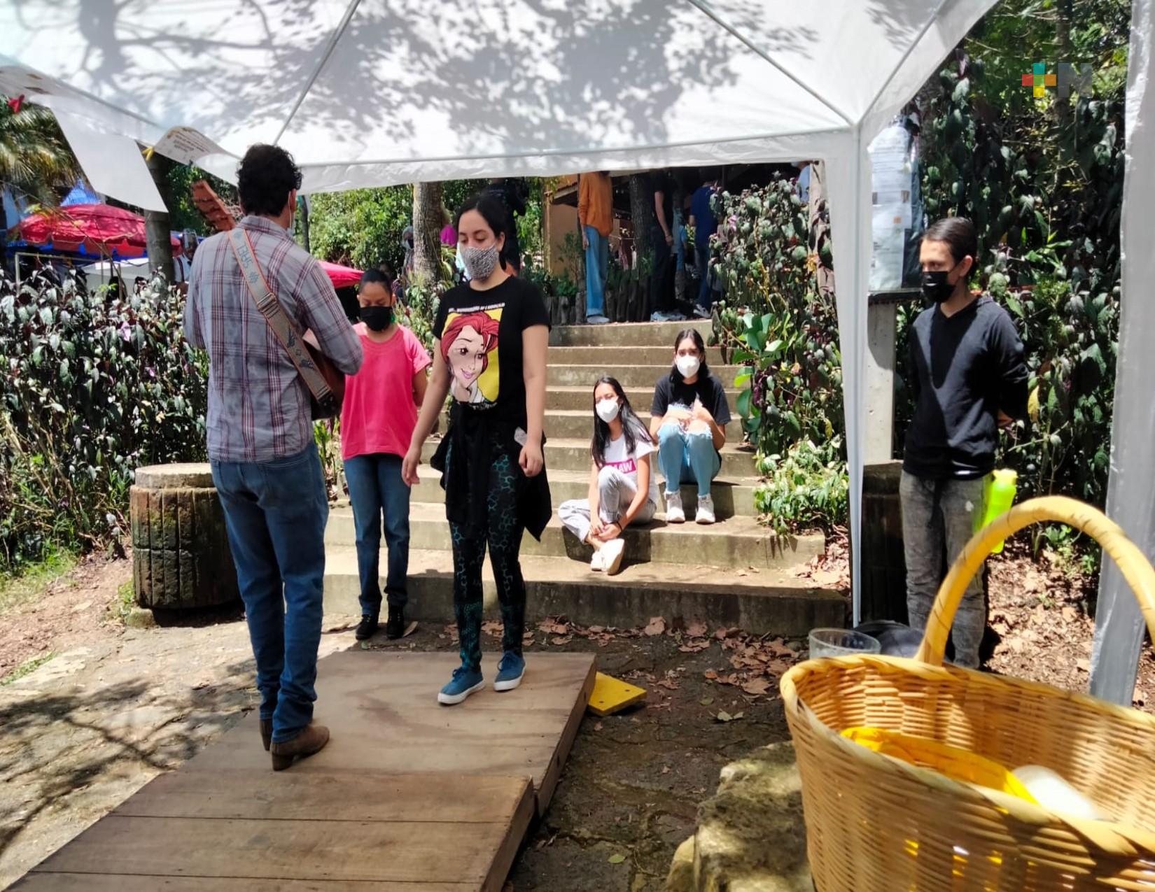 Son jarocho y agroecología, en el Mercado Quetzalcalli