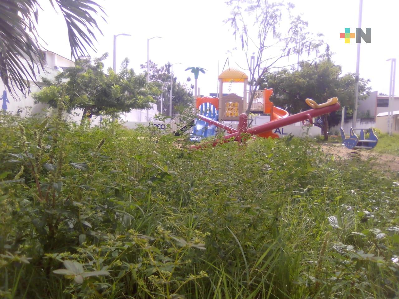 Piden atender parques y camellones en Casas Tamsa de Boca del Río