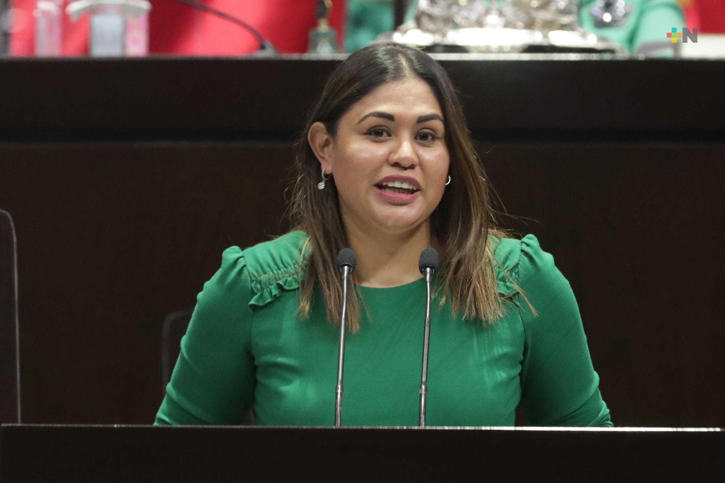 Felipe Calderón puso a México a favor de los extranjeros en materia eléctrica: Raquel Bonilla