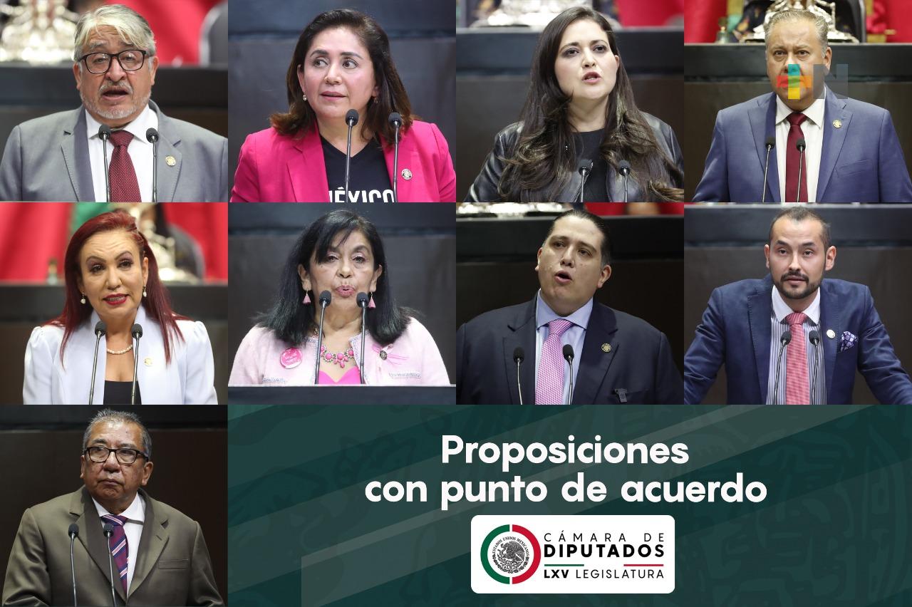 Turnan a comisiones de la Cámara de Diputados nueve puntos de acuerdo