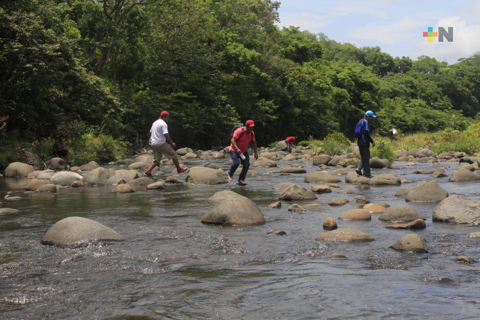 Buscan reforestar sierra de Santa Martha para tener más agua en Coatza y otros municipios