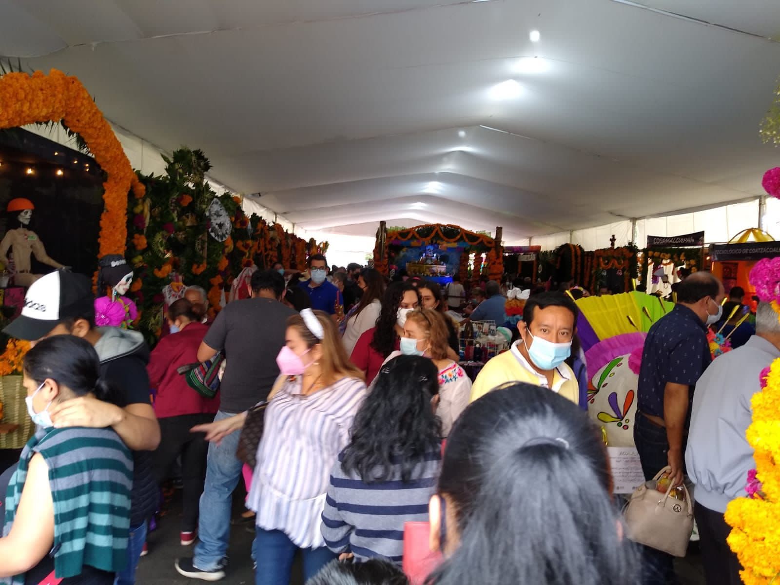 Muestra de altares atracción multitudinaria en Xalapa, ciudadanía y visitantes felices