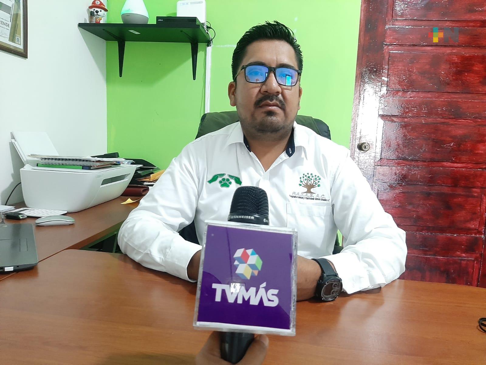 Efectuarán operativos en colonias de Veracruz para evitar crueldad animal: PATAS A.C.