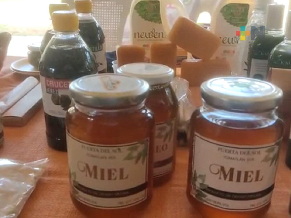 Sedecop continúa apoyando a pequeñas y medianas empresas veracruzanas