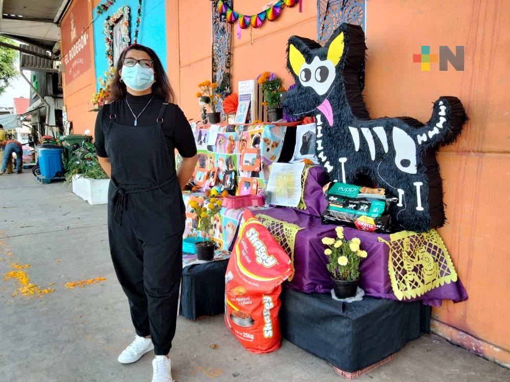 En Xalapa, Central de Abastos coloca altar dedicados a perros y gatos