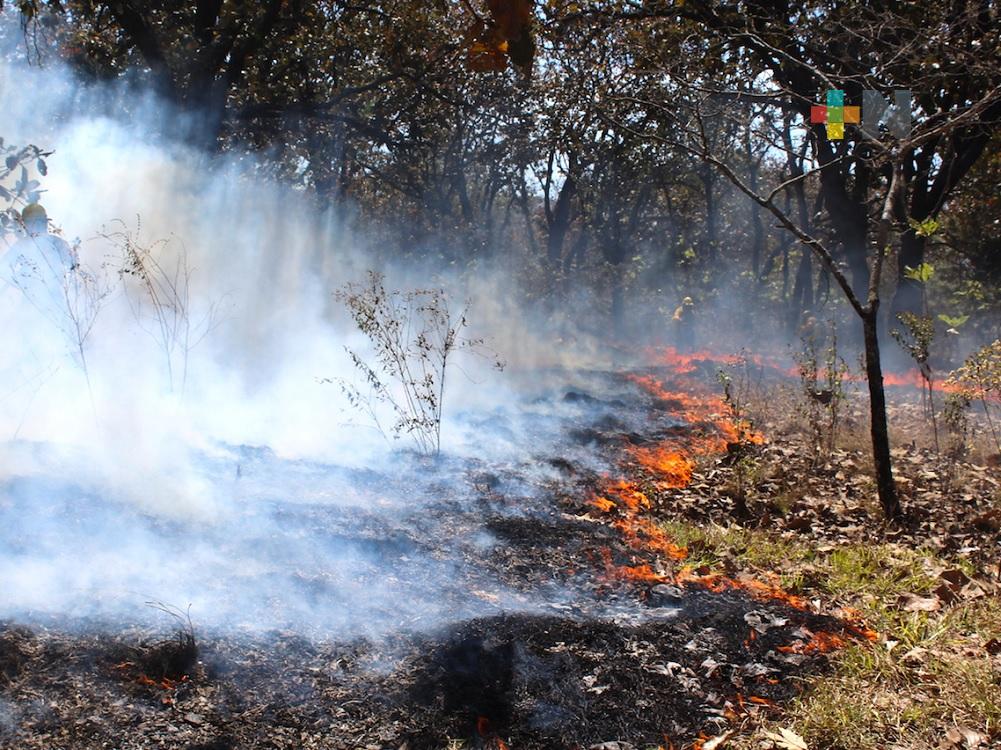 Más incendios forestales en Veracruz, pero menos superficie afectada con respecto al 2021: Conafor