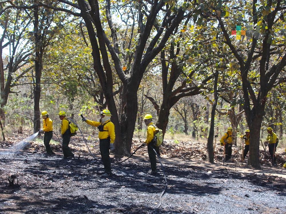 Conafor continúa actividades de prevención, para la siguiente temporada de incendios forestales
