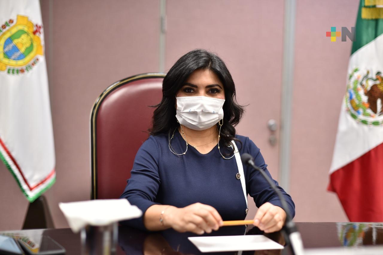 Desde el extranjero, veracruzanos podrían elegir al Ejecutivo del estado