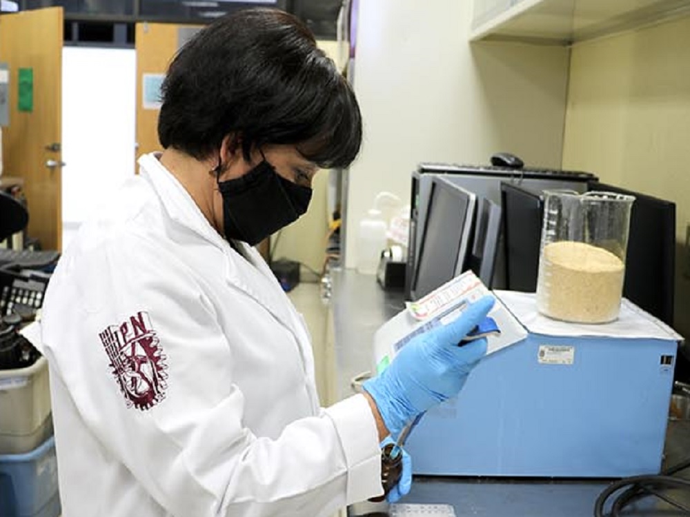 Estudio del IPN confirma que consumo de semilla germinada de amaranto reduce niveles de colesterol
