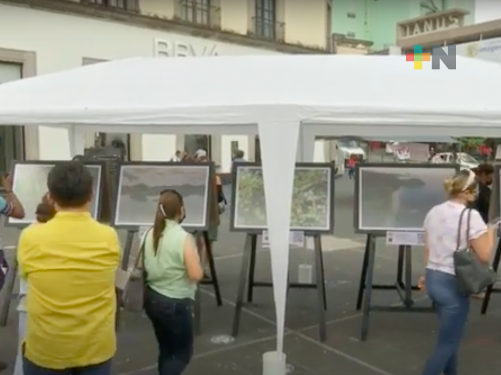 Exposición fotográfica «Veracruz y más» en la plaza Lerdo en Xalapa