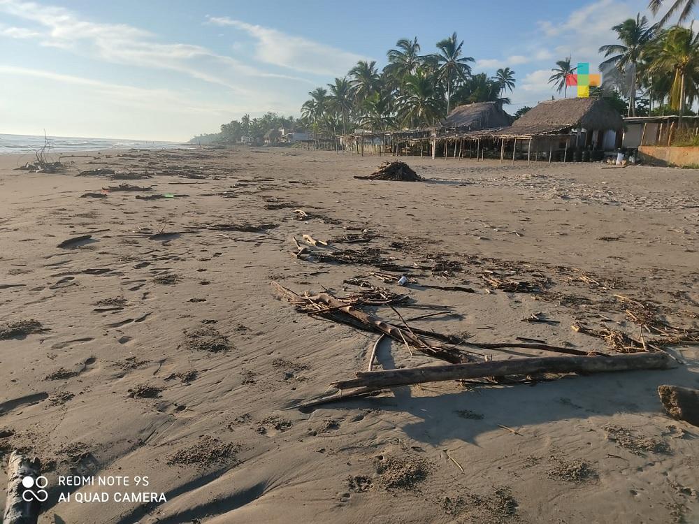 Fundación Yepez prepara jornada de limpieza en zonas estratégicas de playa