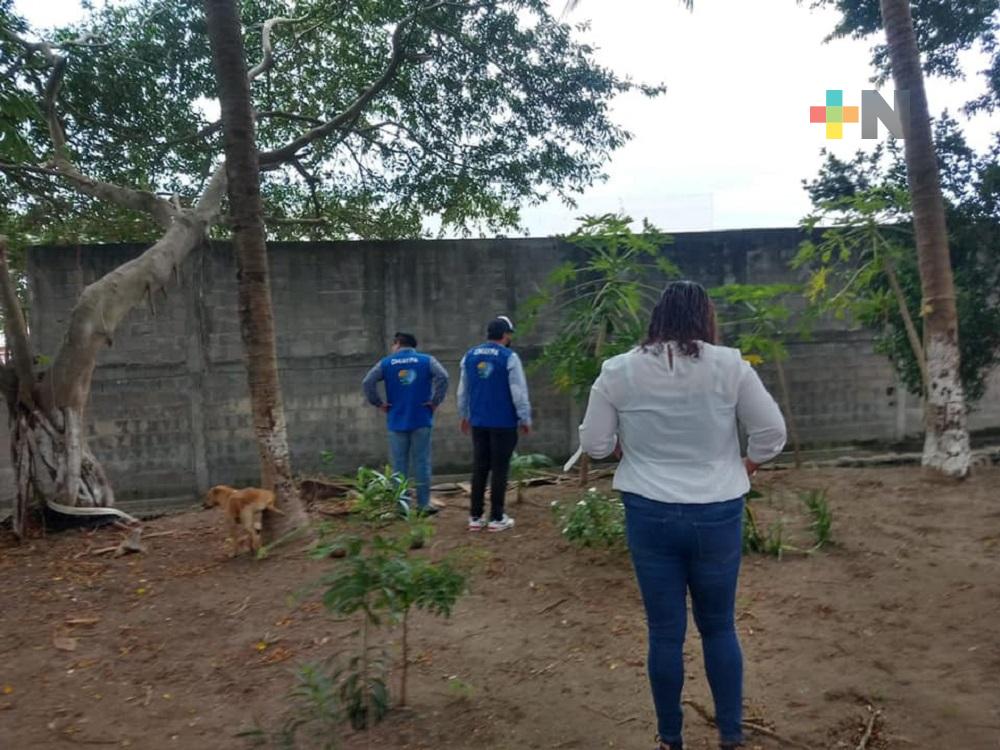 Inicia Ayuntamiento de Veracruz proceso para sancionar a responsables de maltrato animal