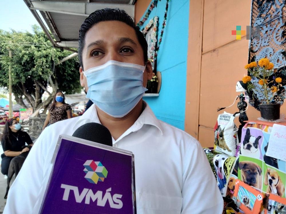 Dirección de Salud Animal en Xalapa, pide no maquillar y disfrazar animales