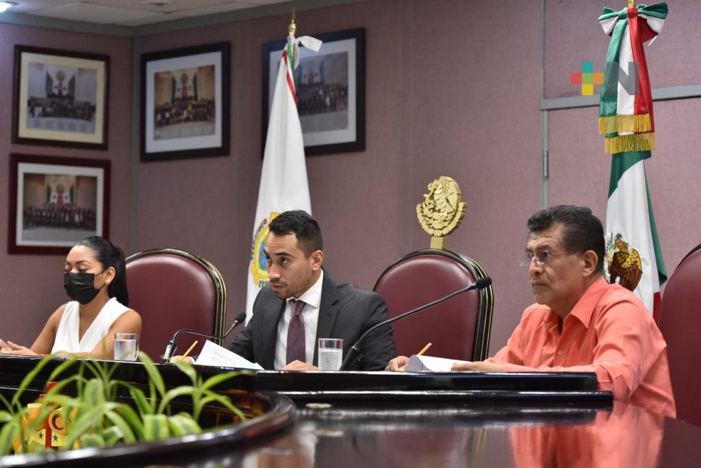 Proceso de designación de comisionado del IVAI, será imparcial: Henri Gómez