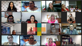 Realiza OPPMV “Charla Virtual: el sufragio Femenino en México y los logros de la participación de la mujer en la política”