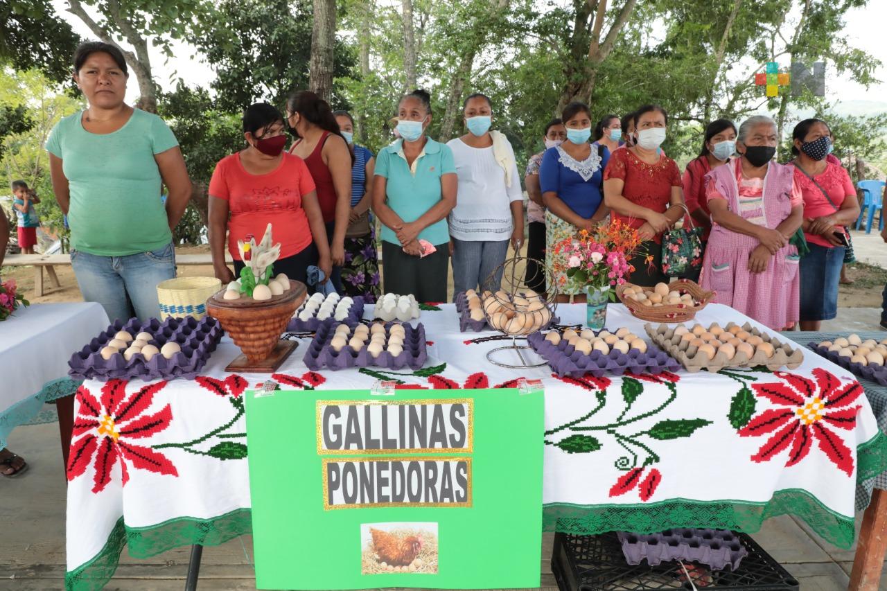 Obras de vivienda y electrificación apoyan a población indígena de la Huasteca Alta: SEDESOL