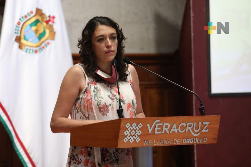 Veracruz cuenta con capacidad de atención para cubrir afectaciones en Lerdo y otros municipios: Protección Civil