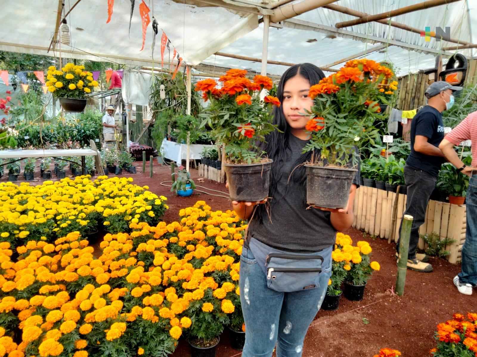 Productores de Flor de Cempasúchitl ofertan  producto en el Parque Doña Falla