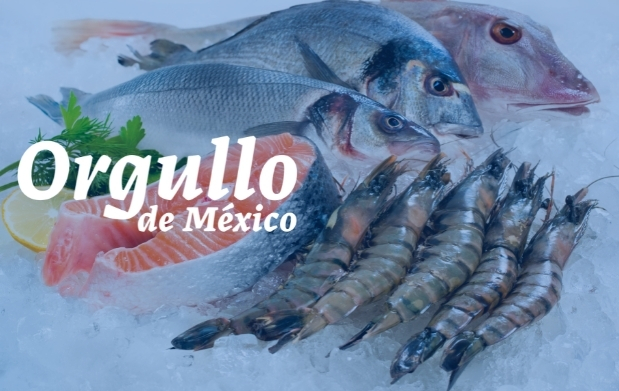 Camarón, langosta y pulpo, tres productos del mar de México