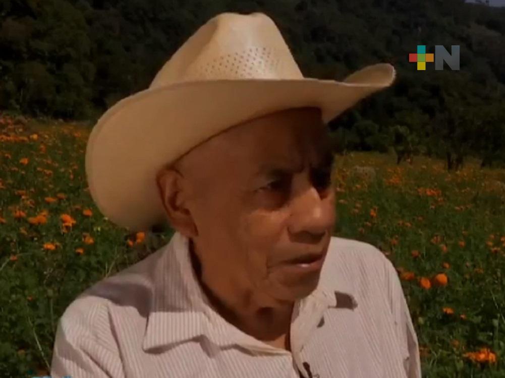 Reconoce a Agileo Rojas, primer productor de flor de cempasúchil en Naolinco