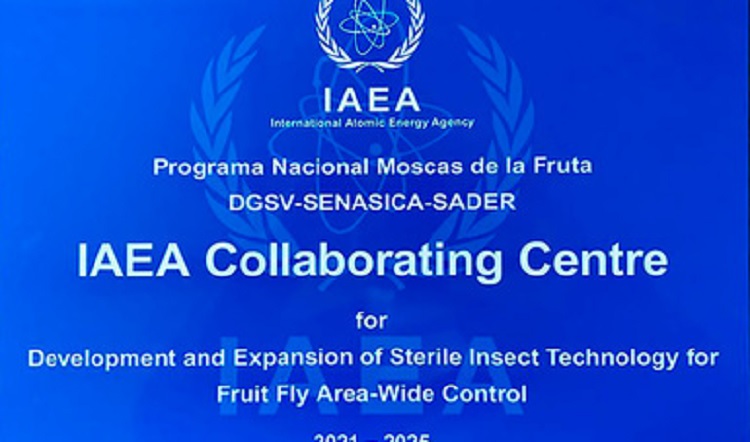 Renuevan Sader y Oiea alianza para combatir plagas de moscas de la fruta