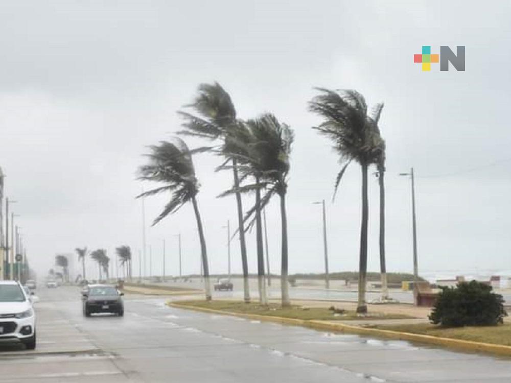 Frente Frío 4 provocó inundaciones, caída de espectaculares y árboles en Coatzacoalcos