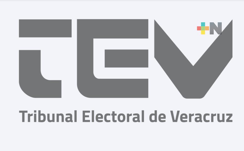 TEV amonesta al candidato a la presidencia municipal de Alto Lucero, por infringir normas de menores en propaganda política