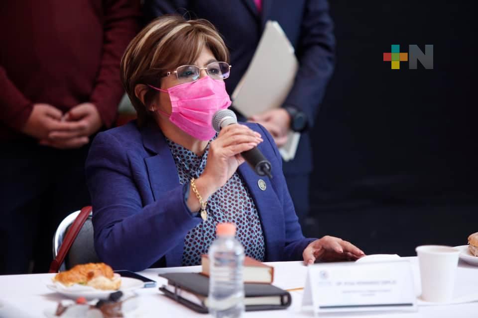 Miscelánea Fiscal busca que los impuestos cobrados lleguen al fisco: Hernández Espejo