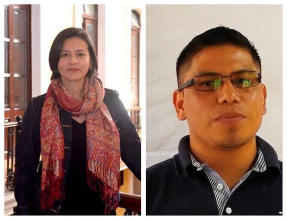 Vida submarina y diversidad lingüística en Casas de la Cultura IVEC