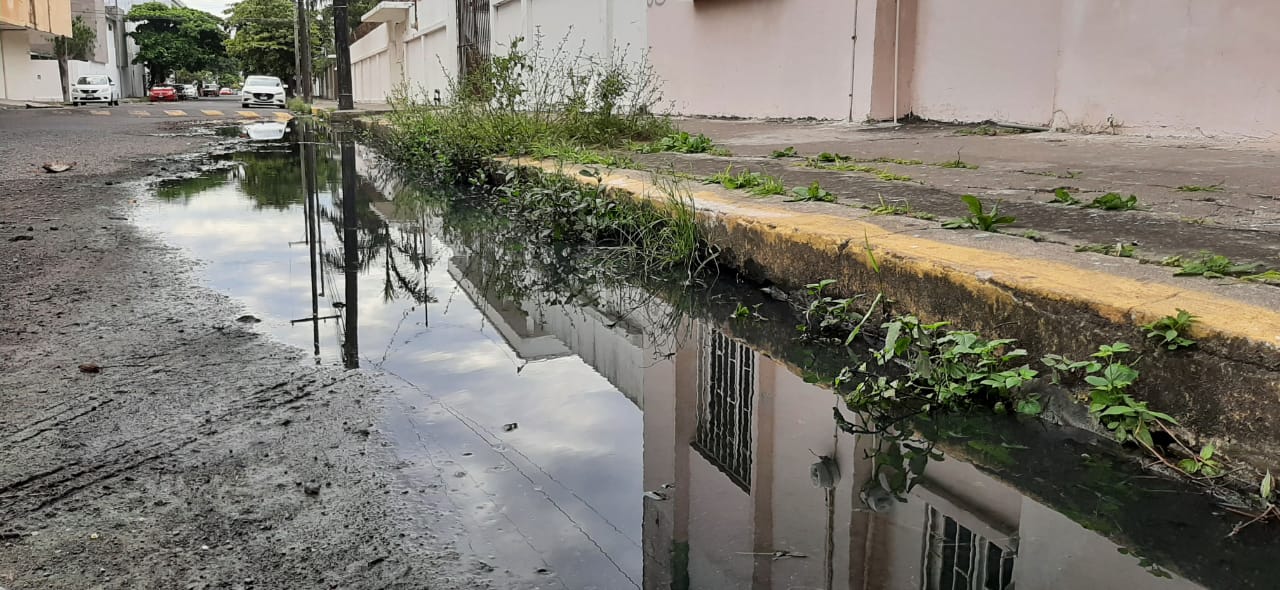Fuga de aguas residuales en colonia Zaragoza de Veracruz, cumple dos meses sin solución