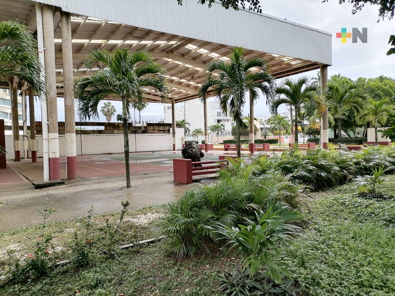 Cerca de 50 mil árboles frutales, maderables y florales, sembrados en Coatzacoalcos