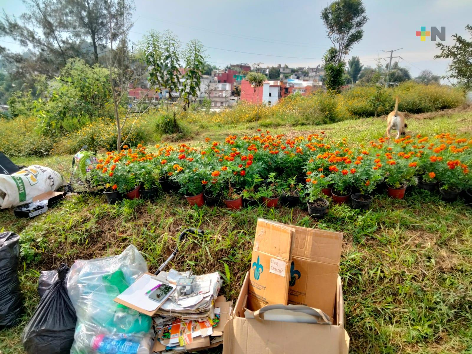 Intercambian flor de cempasúchil por residuos sólidos en Parque La Loma