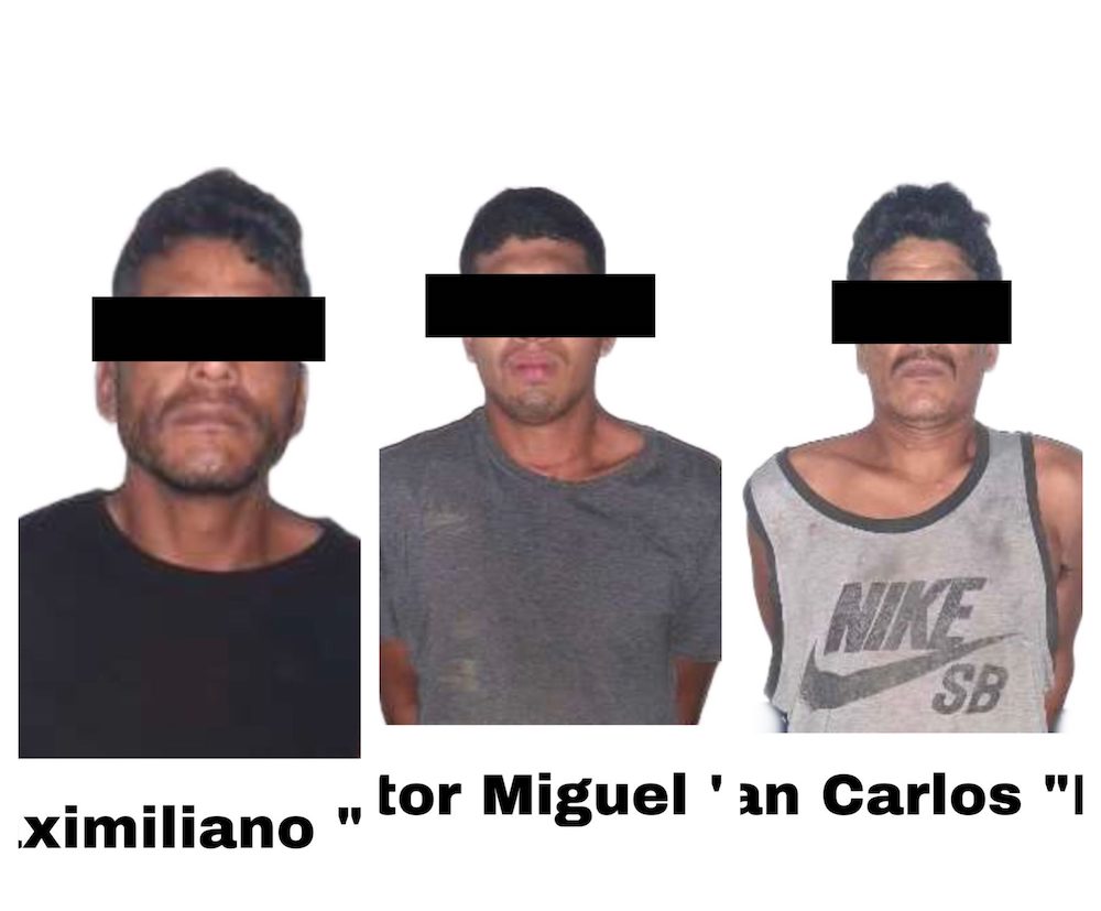 Detiene SSP a tres por presuntos delitos contra salud, en Xalapa