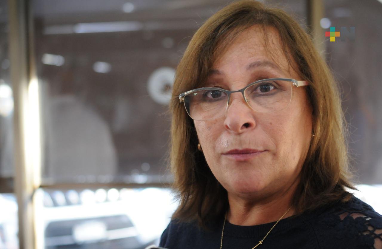 Con Reforma Eléctrica, se garantizarán precios accesibles a usuarios: Rocío Nahle