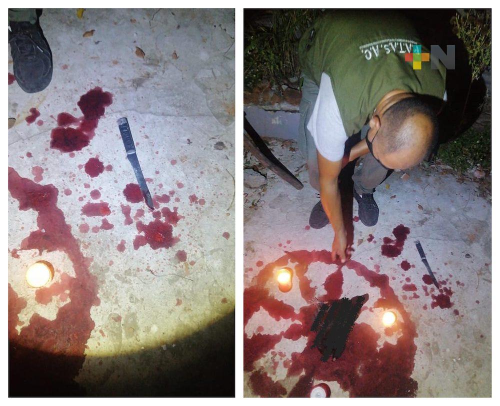 Denuncian hallazgo de restos de animales utilizados para rituales en colonia de Veracruz