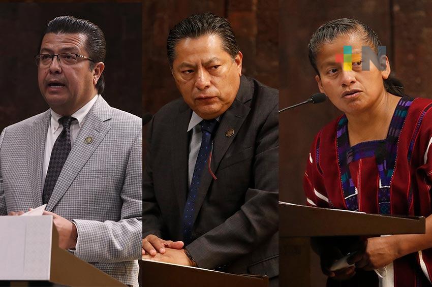 Nueva política ambiental de la 4T garantiza la inclusión de todos los sectores: Morena