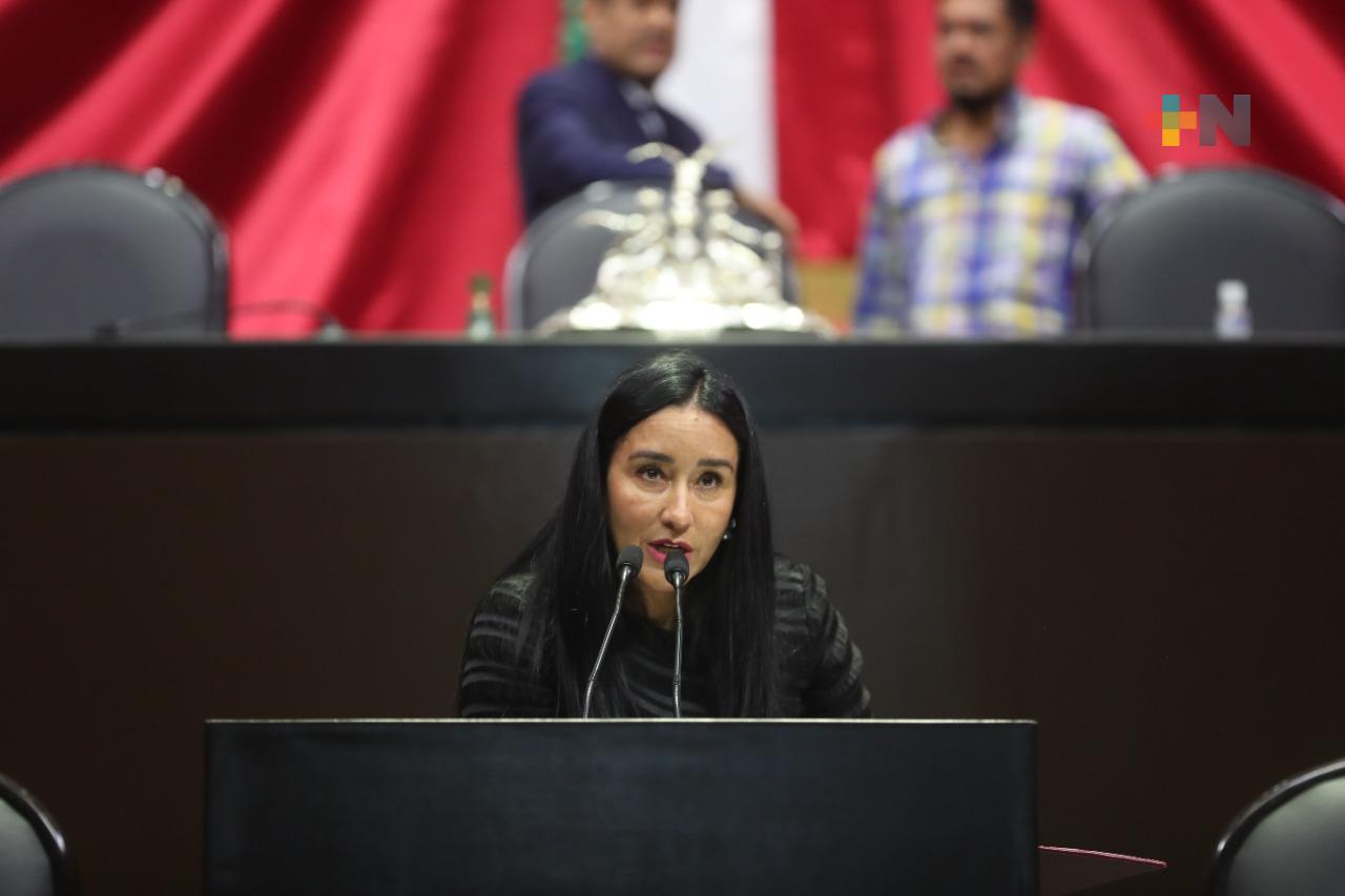 Que las radiodifusoras incluyan contenidos en lenguas indígenas: Almazán Burgos