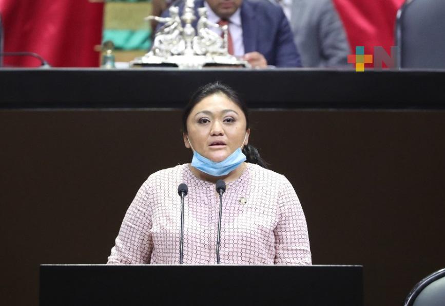 Plantean crear el Banco Nacional de Información sobre órdenes de protección y delitos de violencia contra mujeres