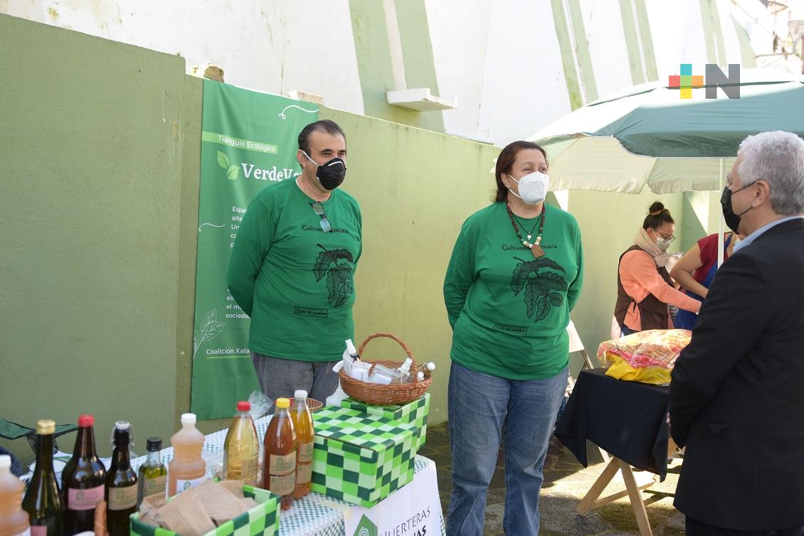 Inicia Tianguis Ecológico VerdeVer en Plaza Xallitic