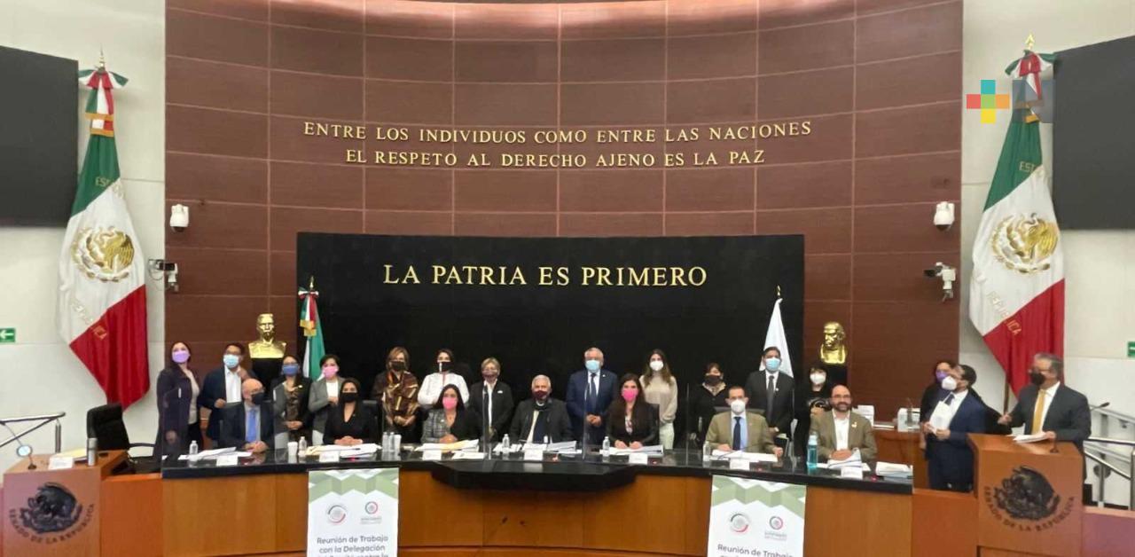 Se reúnen legisladores federales con expertos del Comité Contra la Desaparición Forzada de la ONU