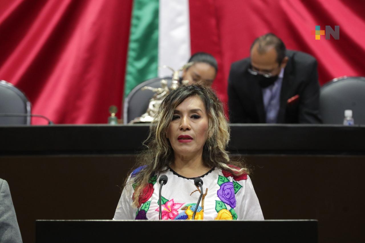 Propone Araceli Ocampo cambiar denominación del INPI para incluir a la población afromexicana