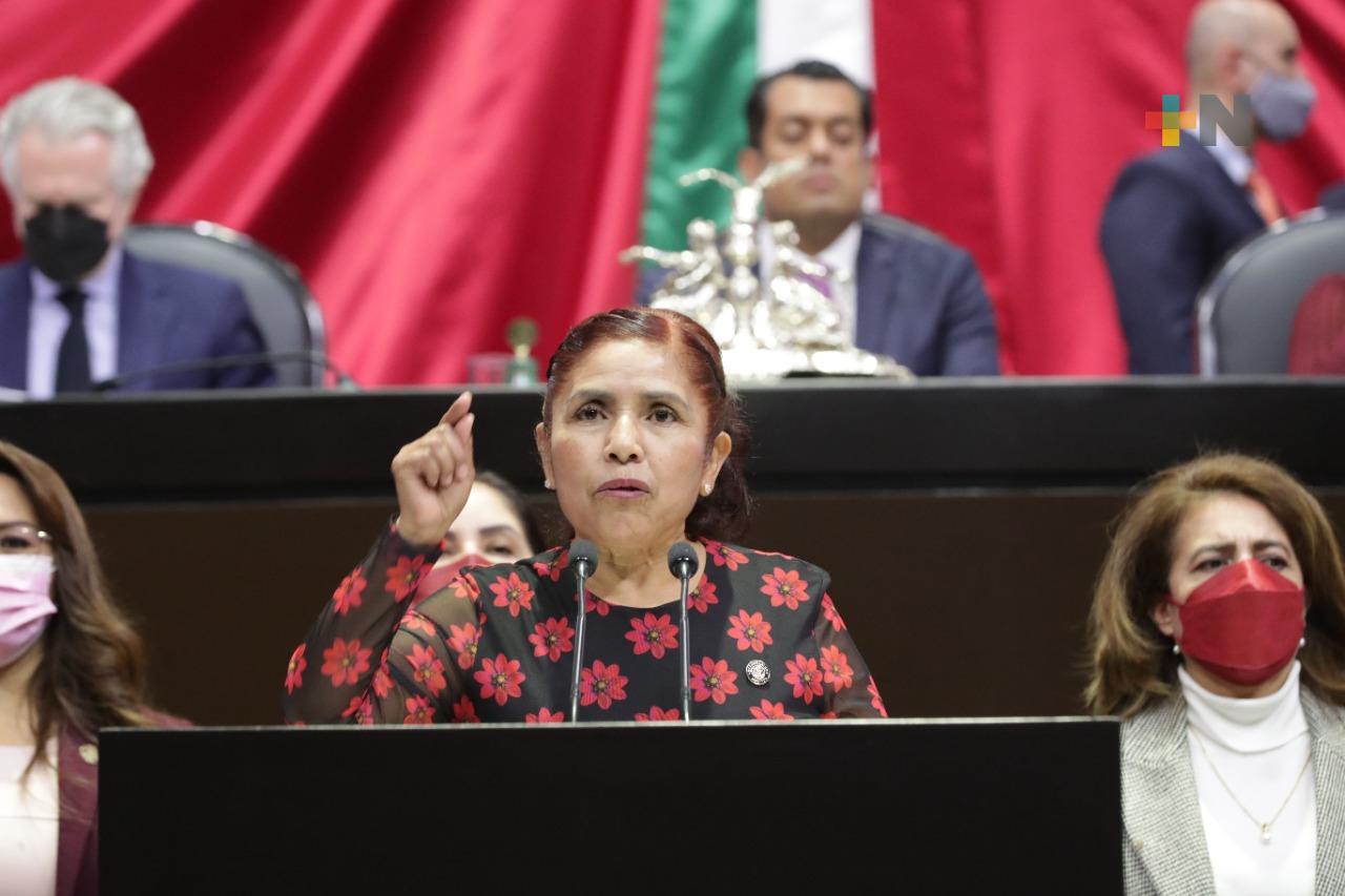 INE pretende tomar por asalto facultades del Congreso, lo que pone en riesgo el avance democrático: Morena